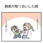 姉弟が取り合いをした時