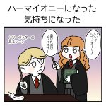 ちょっとハーマイオニーっぽかった話